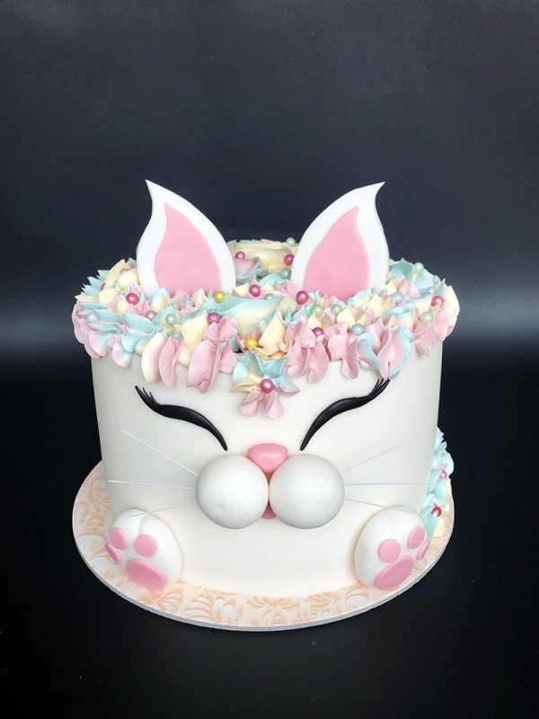 Cat birthday cake